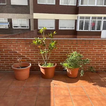 Apartment Coqueto Apartamento